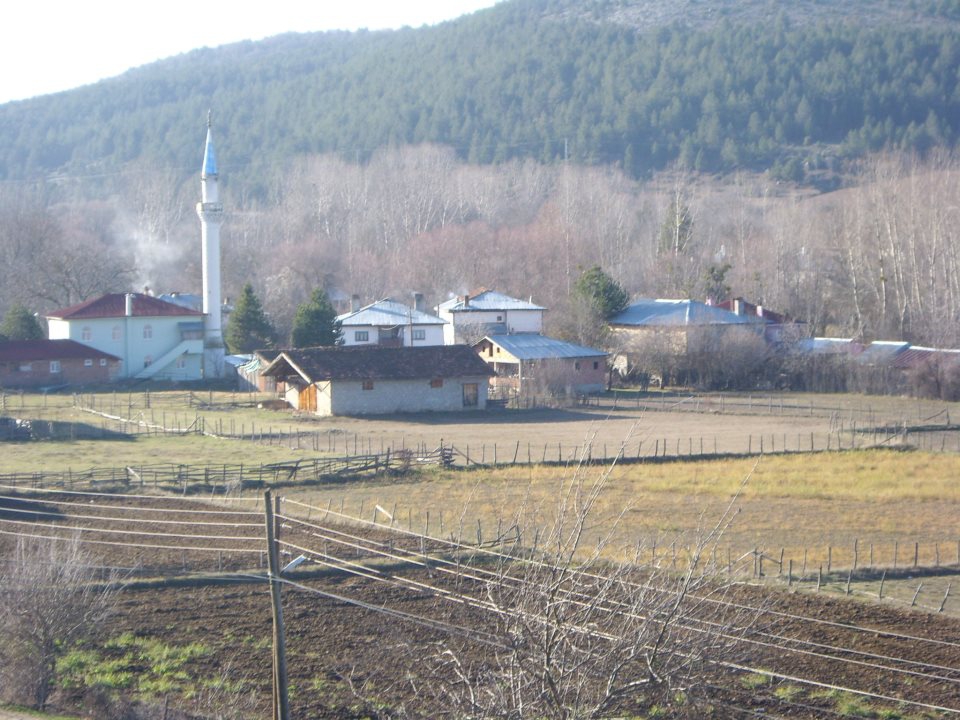 Daday Tüfekçi Köyü Resimleri 4