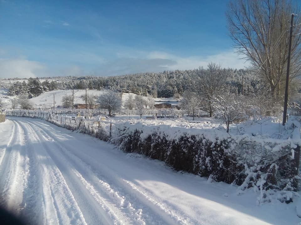 Daday Tüfekçi Köyü Resimleri 7