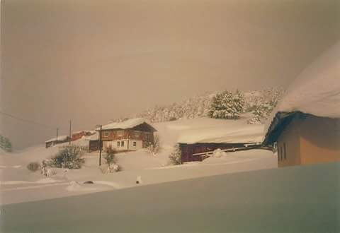 Devrekani Ahlatçık Köyü Resimleri 3