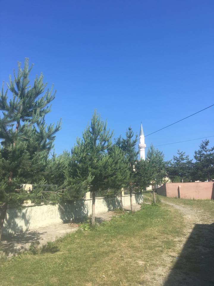 Devrekani Akçapınar Köyü Resimleri 4