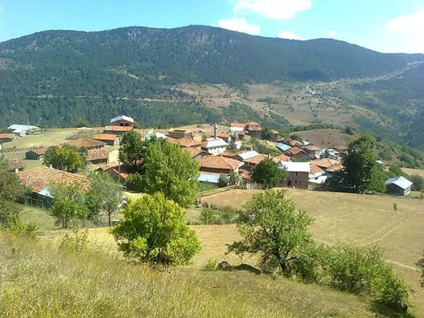 Devrekani Akdoğan Köyü Resimleri 1