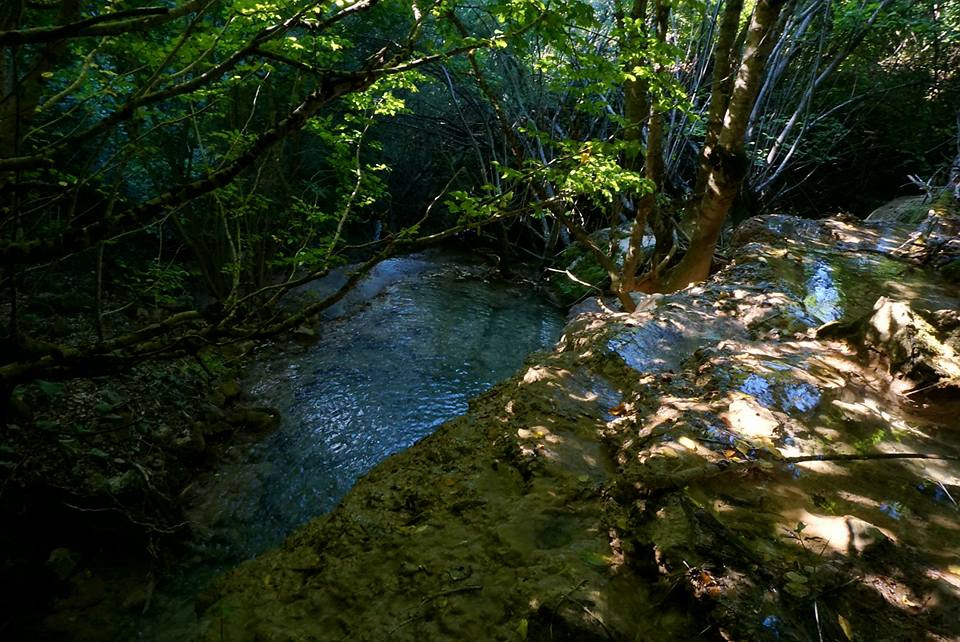 Devrekani Akdoğan Köyü Resimleri 3