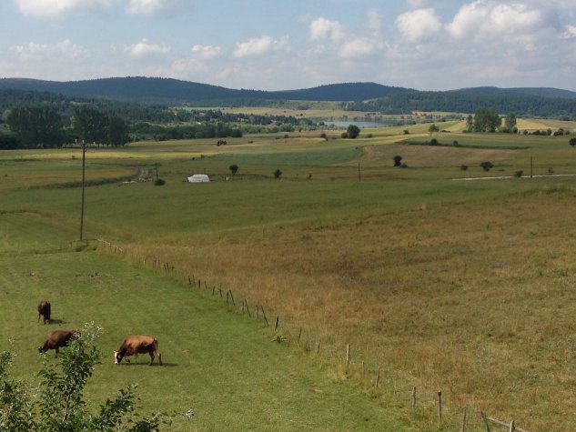 Devrekani Akmescit Köyü Resimleri 5