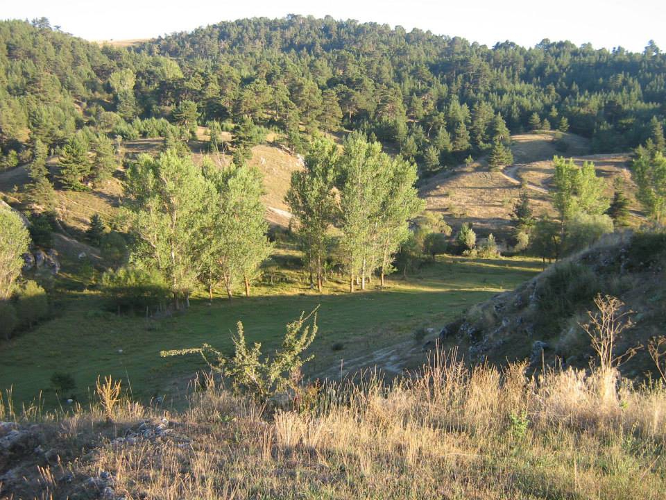 Devrekani Alaçay Köyü Resimleri 4