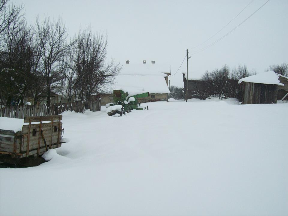 Devrekani Alçılar Köyü Resimleri 4