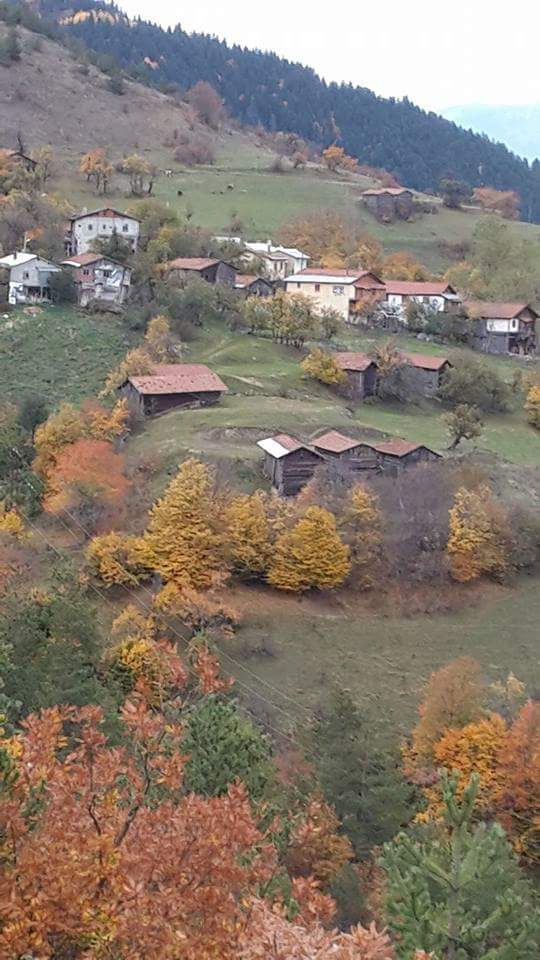 Devrekani Alınören Köyü Resimleri 1