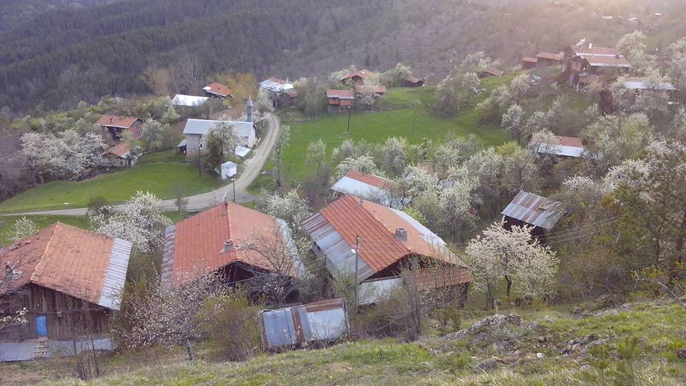 Devrekani Alınören Köyü Resimleri 10
