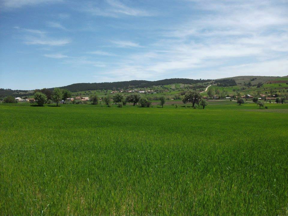 Devrekani Belovacık Köyü Resimleri 5