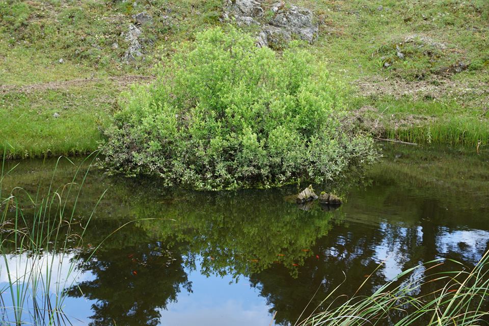 Devrekani Belovacık Köyü Resimleri 9