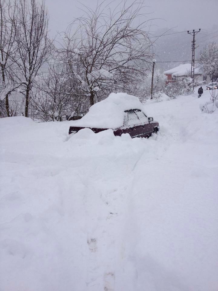 Gümüşova Ardıçdibi Köyü Resimleri 1
