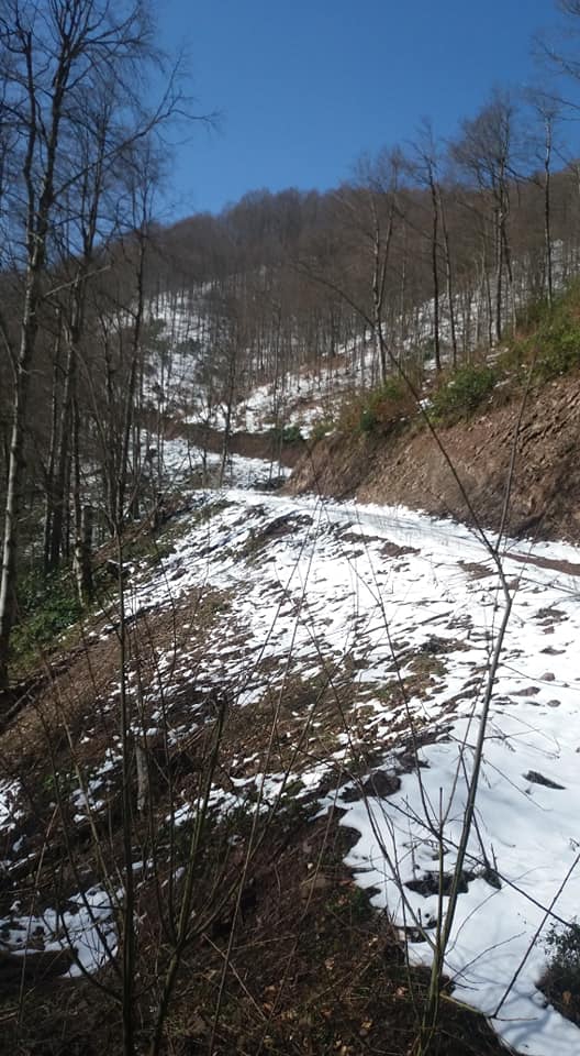 Gümüşova Dededüzü Köyü Resimleri 1
