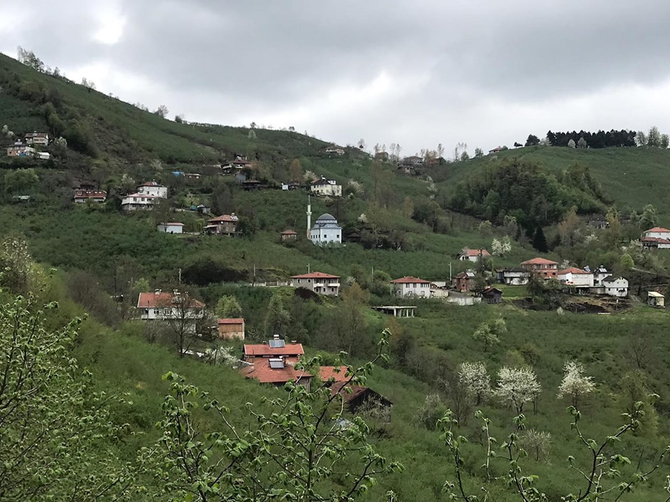 Gümüşova Dededüzü Köyü Resimleri 2