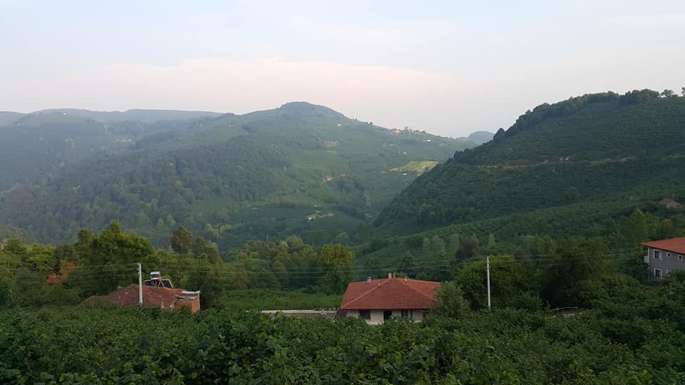 Gümüşova Dededüzü Köyü Resimleri 3