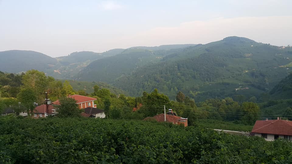 Gümüşova Dededüzü Köyü Resimleri 4