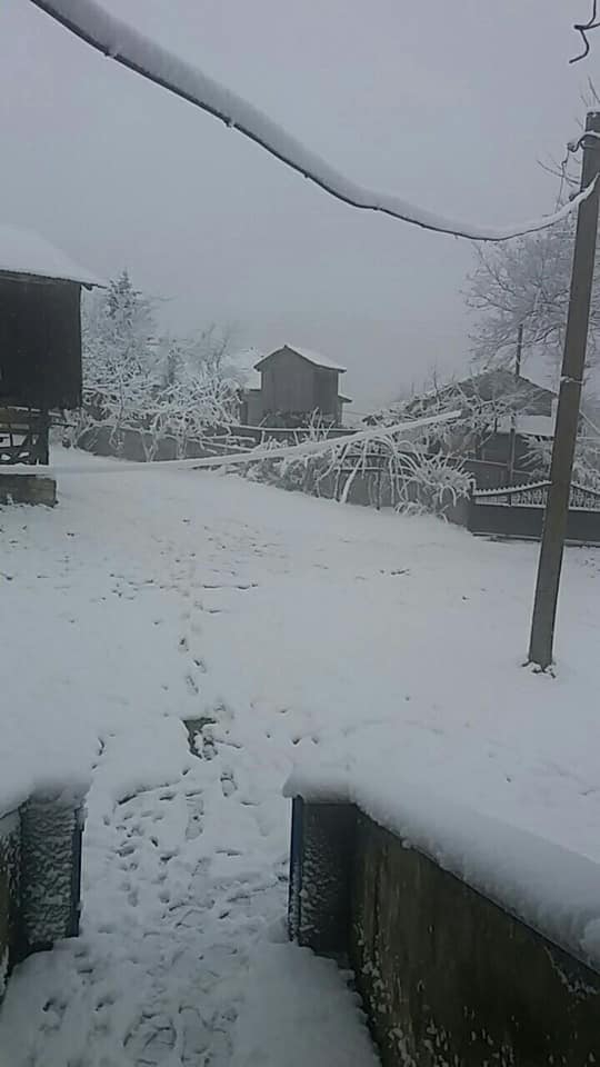 Gümüşova Dededüzü Köyü Resimleri 5