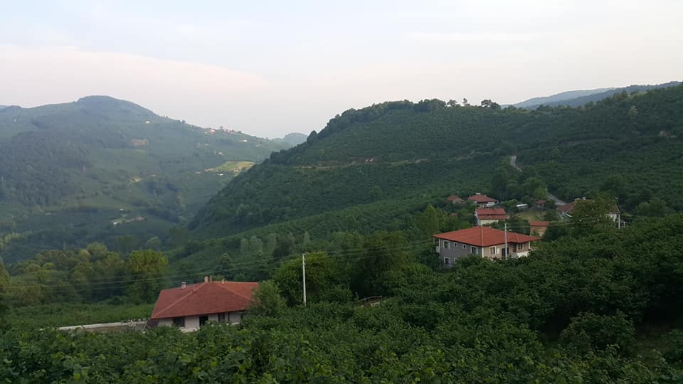 Gümüşova Dededüzü Köyü Resimleri 7