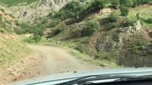 Nazımiye Turnayolu Köyü Resimleri 4