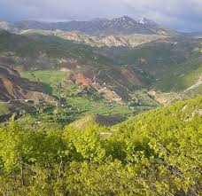 Nazımiye Turnayolu Köyü Resimleri 9