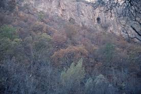 Ovacık Ağaçpınar Köyü Resimleri 4