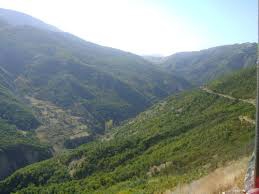 Ovacık Ağaçpınar Köyü Resimleri 6