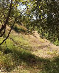 Ovacık Aşağıtorunoba Köyü Resimleri 3