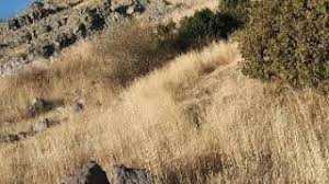 Ovacık Aşağıtorunoba Köyü Resimleri 6