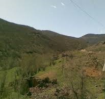 Ovacık Aşlıca Köyü Resimleri 6