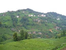 Ovacık Bilgeç Köyü Resimleri 2