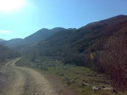 Ovacık Buzlutepe Köyü Resimleri 5