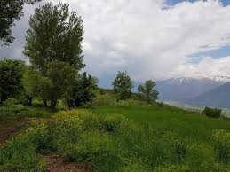 Ovacık Büyükköy  Köyü Resimleri 5