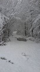Gümüşova Pazarcık Köyü Resimleri 5