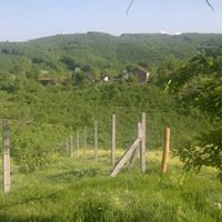 Gümüşova Yıldıztepe Köyü Resimleri 1