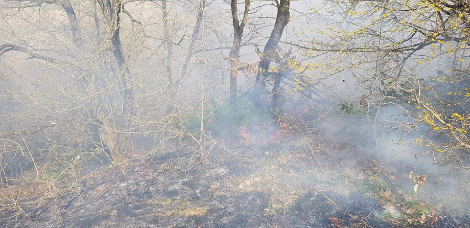 Gümüşova Yıldıztepe Köyü Resimleri 13