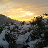 Gümüşova Yıldıztepe Köyü Resimleri 2