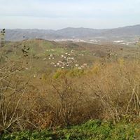 Gümüşova Yıldıztepe Köyü Resimleri 8