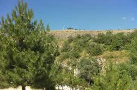 Sivas Başıbüyük Köyü Resimleri 4
