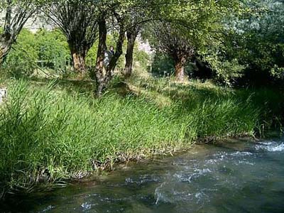 Sivas Başıbüyük Köyü Resimleri 9