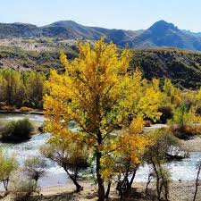 Ovacık Eğrikavak Köyü Resimleri 1