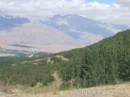 Ovacık Eğrikavak Köyü Resimleri 7