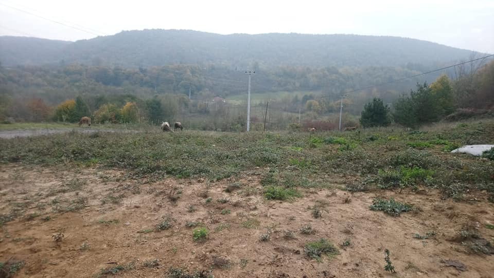 Kaynaşlı Saz Köyü Resimleri 3