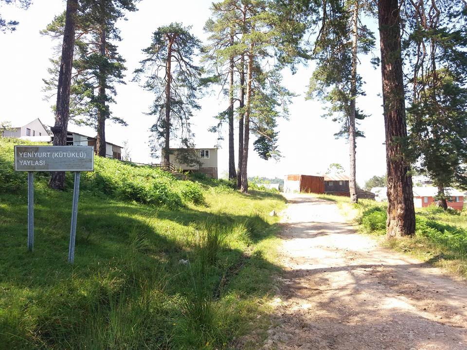 Kaynaşlı Yeniyurt Köyü Resimleri 1