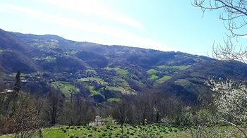 Kaynaşlı Yeniyurt Köyü Resimleri 8