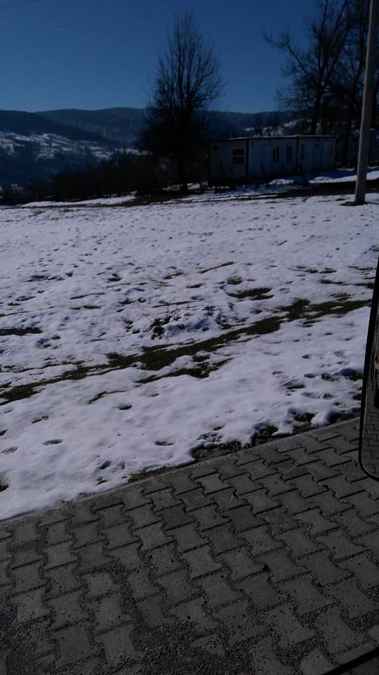 Kaynaşlı Çamlıca Köyü Resimleri 2