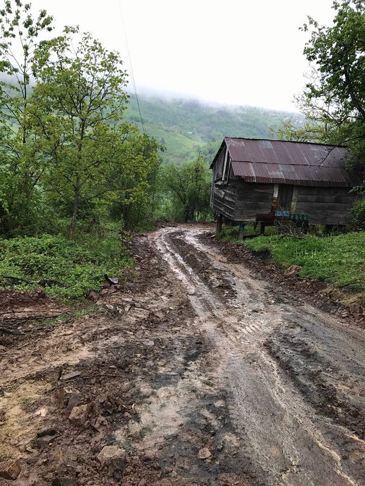 Kaynaşlı Çamlıca Köyü Resimleri 4