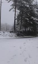 Kaynaşlı Çamlıca Köyü Resimleri 7