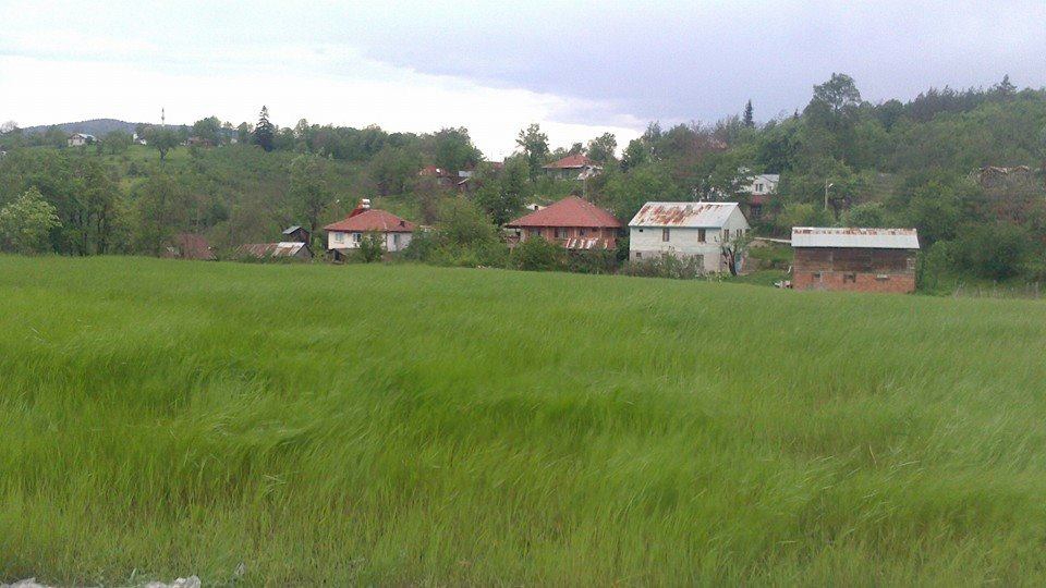 Kaynaşlı Çatalçam Köyü Resimleri 10