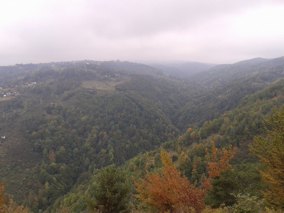 Kaynaşlı Çatalçam Köyü Resimleri 11