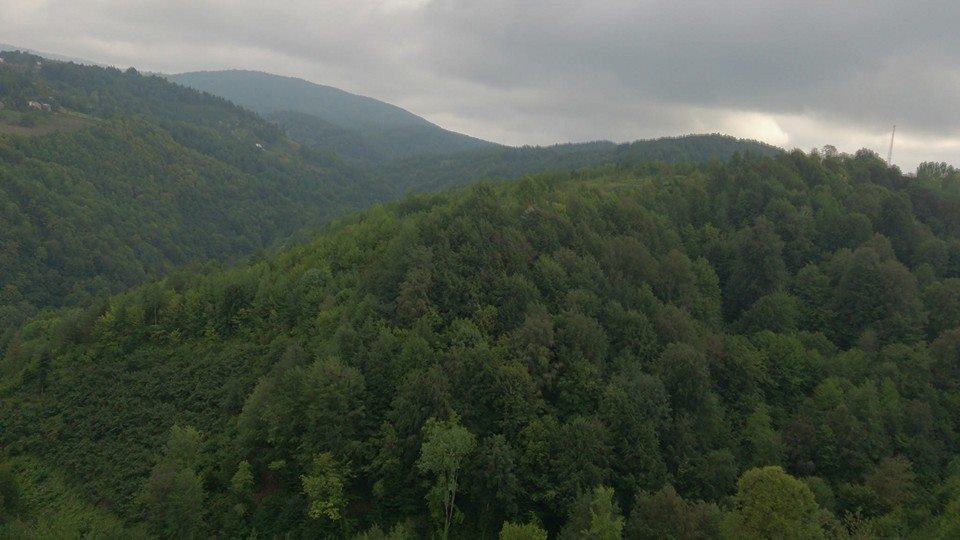Kaynaşlı Çatalçam Köyü Resimleri 3