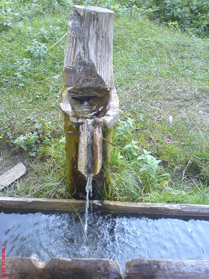 Kaynaşlı Çatalçam Köyü Resimleri 5