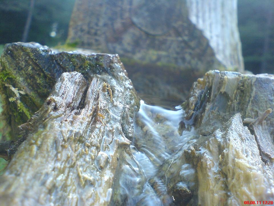 Kaynaşlı Çatalçam Köyü Resimleri 6